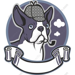 Boston Terrier Detective