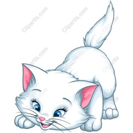 Playful White Cat