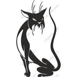 Fierce Cat