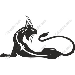 Sleek Cat