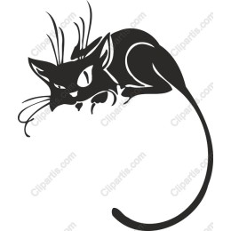 Elegant Black Cat