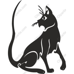 Feline Elegance