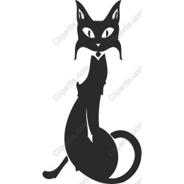 Elegant Black Cat