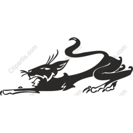 Sleek Feline