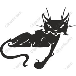 Elegant Black Cat
