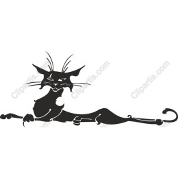 Elegant Black Cat