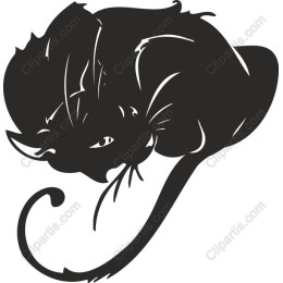 Curl-Up Cat