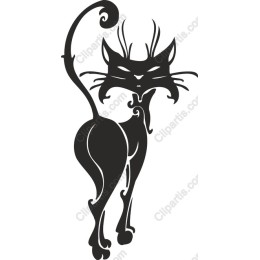 Sophisticated Cat