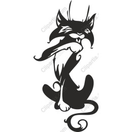 Playful Black Cat