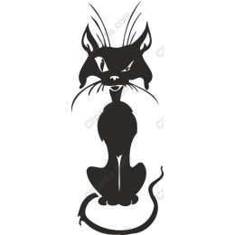 Black Cat