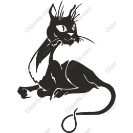 Black Cat