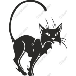 Elegant Black Cat