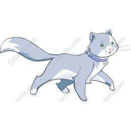 Playful Blue Cat
