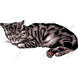 Sleepy Cat