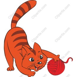 Playful Orange Cat