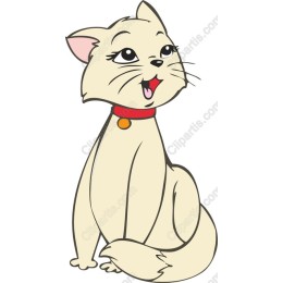 Cheerful Cat