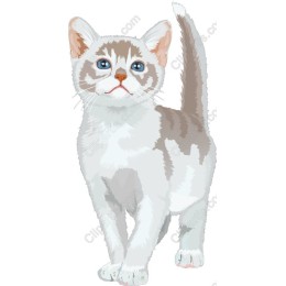 Adorable Kitten