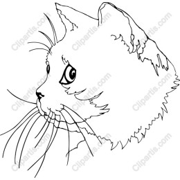 Hand-Drawn Cat