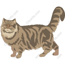 Charming Cat