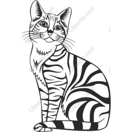 Charming Tiger Cat