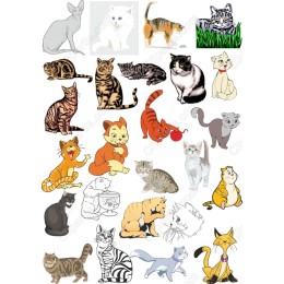 Charming Cat Bundle
