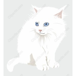 White Feline Charm
