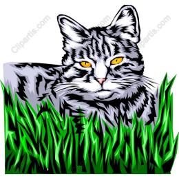 Charming Cat in Grass