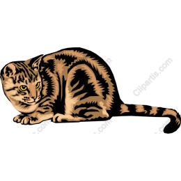 Stylized Cat