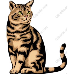 Majestic Tabby Cat