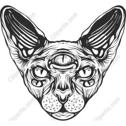 Mystical Sphynx Cat