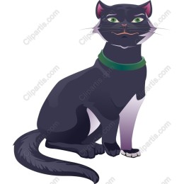 Enchanting Black Cat