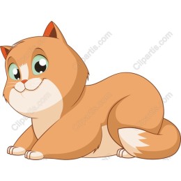 Cute Cartoon Cat