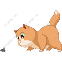 Curious Cat and Mouse