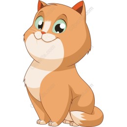 Cute Playful Cat