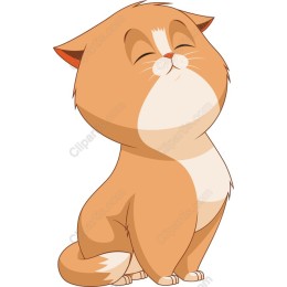 Charming Orange Cat