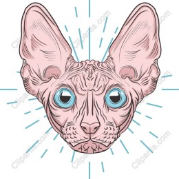 Sphynx Cat Radiance