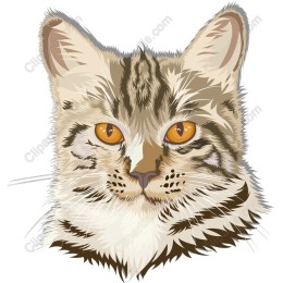 Majestic Cat