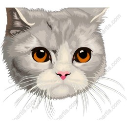 Silver Persian Cat