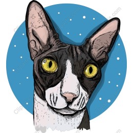 Charming Cat