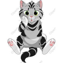 Adorable Gray Tabby Cat