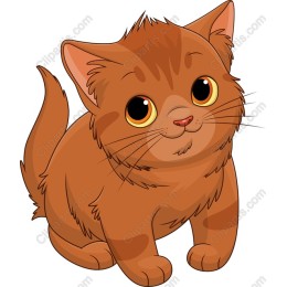 Cute Orange Kitten