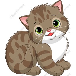 Playful Cat