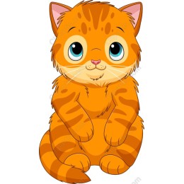 Charming Orange Cat