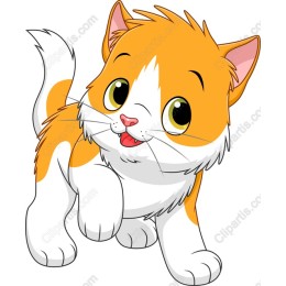 Playful Orange and White Kitten