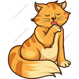 Charming Ginger Cat