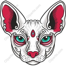 Charming Cat Face