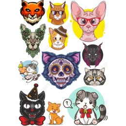 Cat & Dog Bundle