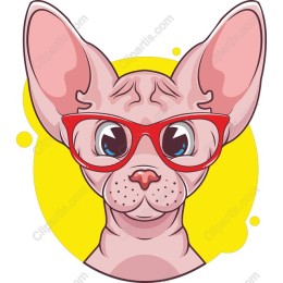 Sphynx Cat with Glasses
