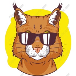 Cool Cat with Sunglasses