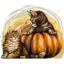 Charming Cat Duo on Pumpkin
